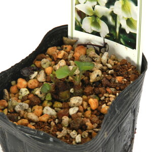 iR쑐jX~i俁jrIE\A@Xm[vZX@2D5`3i1|bgj