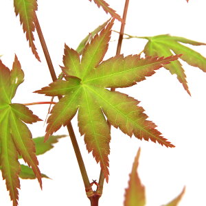 iR쑐j~́@~W@Cn~WiɘCggtj3i10|bgjixԁj