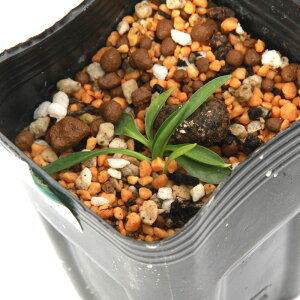 iR쑐jNV}lWoiivWYjixj2D5i1|bgjixԁj