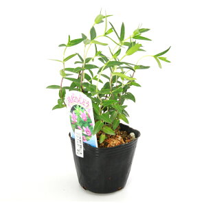 iR쑐jhEi_jg@3i1|bgjixԁj