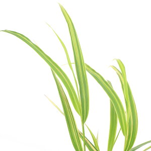 iR쑐jtE`\EimjהtE`\Eiהmj2D5i1|bgjixԁj