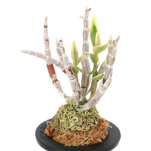 iR쑐j`EZCij@diCfj@3i1jixԁj