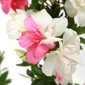 i~́jTcLiHj̕iREm}Cj5i1jixԁj