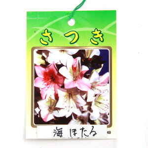 i~́jTcLiHjCقiE~z^j5i1jixԁj