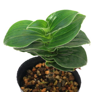 iR쑐jzggMXimCj`{zggMXi{mCj2D5`3i1|bgjixԁj