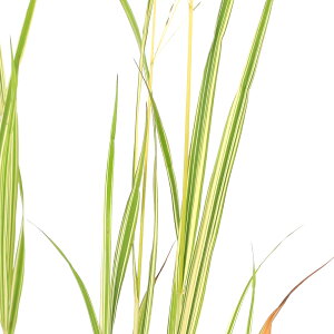 iR쑐jJXhL@3i1|bgjixԁj