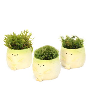 i~́jۖ~́@؁@_CRi1j