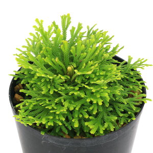 iR쑐jV_irjinCqo@RсiREUjVLAIEUCVLj2D5`3i1|bgjÓT|