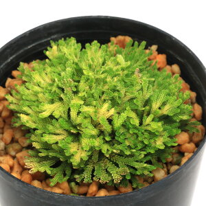 iR쑐jV_irjinCqo@GiVECj2D5`3i1|bgjÓT|