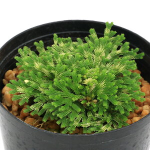 iR쑐jV_irjinCqo@PiCiUqj2D5`3i1|bgjÓT|