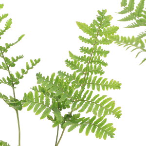 iR쑐jV_irjxjV_igrjY@3i1|bgjΐN