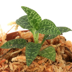 iR쑐jq~}EYiP[RGAїji1|bgj@WGI[Lbh