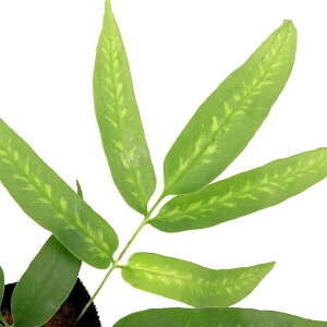 iR쑐jV_irjCKl\Ei⍪j3i1|bgjΐN