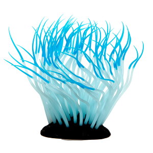 J~n^@񂿂Ⴍ@M@u[@pIuWF@ANAEpi@֓