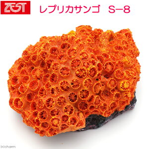 [XC@ZEST@vJTS@S|8@֓