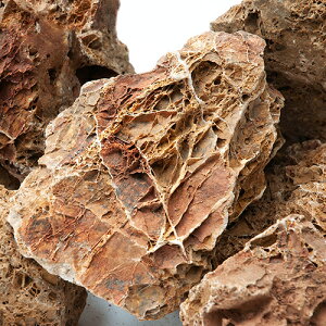 `󂨔C@×t΁@TCY~bNX@3kg@30cm@ANAE@CAEgfށ@֓