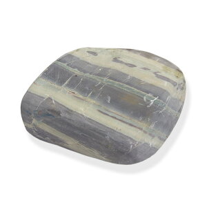 `󂨔C@эʐ΁@MTCYi13`18cmj@1@ANAE@CAEgfށ@@_J@֓