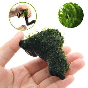 ijā@t[Xt@؁@~jTCYi5`8cmji_ji1{j