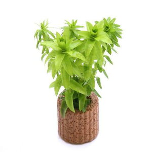 ijCt}`ijX^[W~bNXitji_ji1j