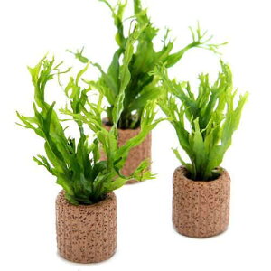 ijCt}`ij~N\E@EFfBti5j