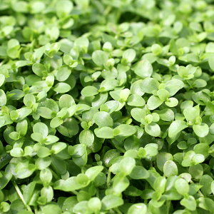 ijj[[Wp[OXitji_ji3pbNj