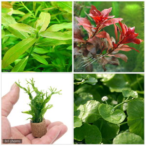 ijrMi[3_Zbgitj{Ct}`ij~N\E@EFfBti1jitj