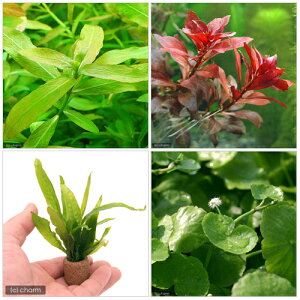 ijrMi[3_Zbgitj{Ct}`ij~N\E@vevXi1jitj