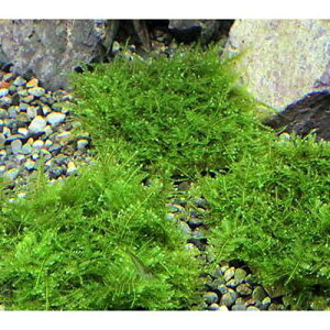 ij琬ρ@ăEB[X@^Citji_ji3j