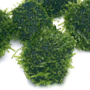 ijā@ăEB[X@{[itji_ji1j