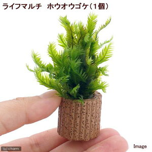 ijCt}`ijzEIESPitji_ji3j