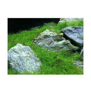 ij30cmp@CAEgiwA[OXV[gR΁j@fރZbgitj@{Bl