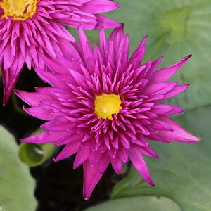 irIg[vj@@Mѐ@iXCjiZj@XJ[bg@tC@i1|bgjixԁj