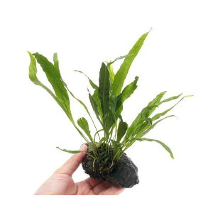 ij~N\E@vevX@\[h[t@R΁@STCYi1j