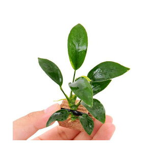 ijCt}`ijAkrAXii@{TCi1j