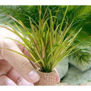 ijCt}`ijuNT@V[g[ti_ji3j