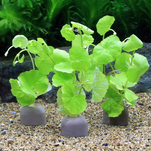 ij[ICgOiO[jA}]`hOTitji_ji3j