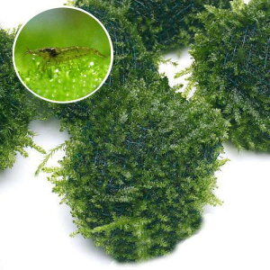 iGrjij~i~k}Gri5Cj{ijā@ăEB[X{[itji_ji1j