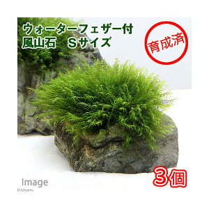 ij琬ρ@EH[^[tFU[@R΁@STCYi10cmjitji_ji3j