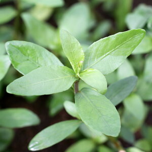 ijnCOtB@|Xy}itji_ji20{j