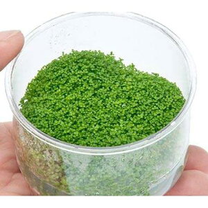 ijgD|{@L[op[OXi_ji3Jbvj@kCEBq֗vۉ