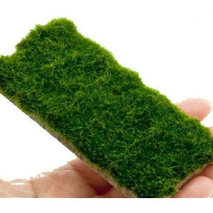 ijā@ZCE}@v[gi_ji1j