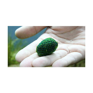 ijā@NX}XX@{[i_ji1j