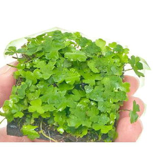 ijā@I[XgA@m`h@^Citji_ji3j