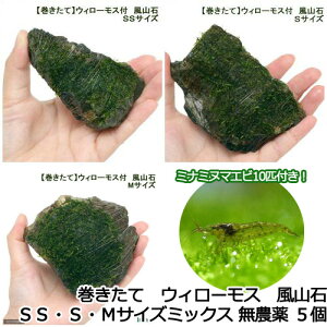 iGrjijā@EB[X@R΁@SSESEMTCYiv5j{~i~k}Gri10Cj