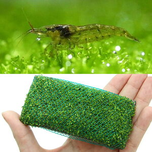 iGrjij~i~k}Gri10Cj{L[op[OX@v[gitji_ji1j