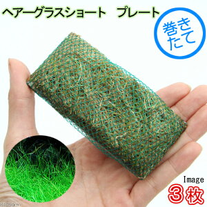 ijā@bNE[t@wA[OXV[g@v[gitji_ji3j