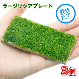 ijā@[WVAv[gi_ji3j@kCEBq֗vۉ