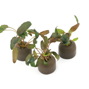 ij[ICgOiO[jNvgRl@EFeB[@uEi3j