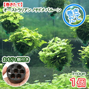 ijā@I[XgA@m`h@o[itji_ji1j{1