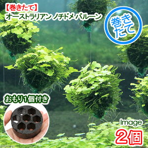 ijā@I[XgA@m`h@o[itji_ji2j{1